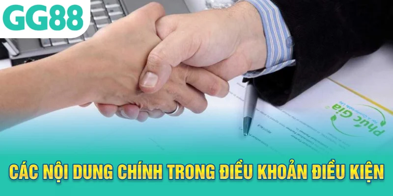 Các nội dung chính trong điều khoản điều kiện
